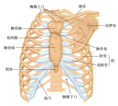 知识库